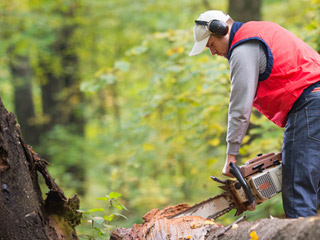 Jobs - Beruf Landwirtschaft - Branche Landwirtschaft